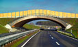 Wildbrücke Holz B96n