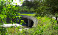 Wildbrücke BAB A20