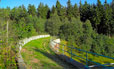 Wildbrücke BAB A20